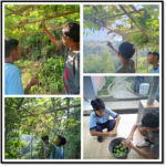 smpn3 cisarua