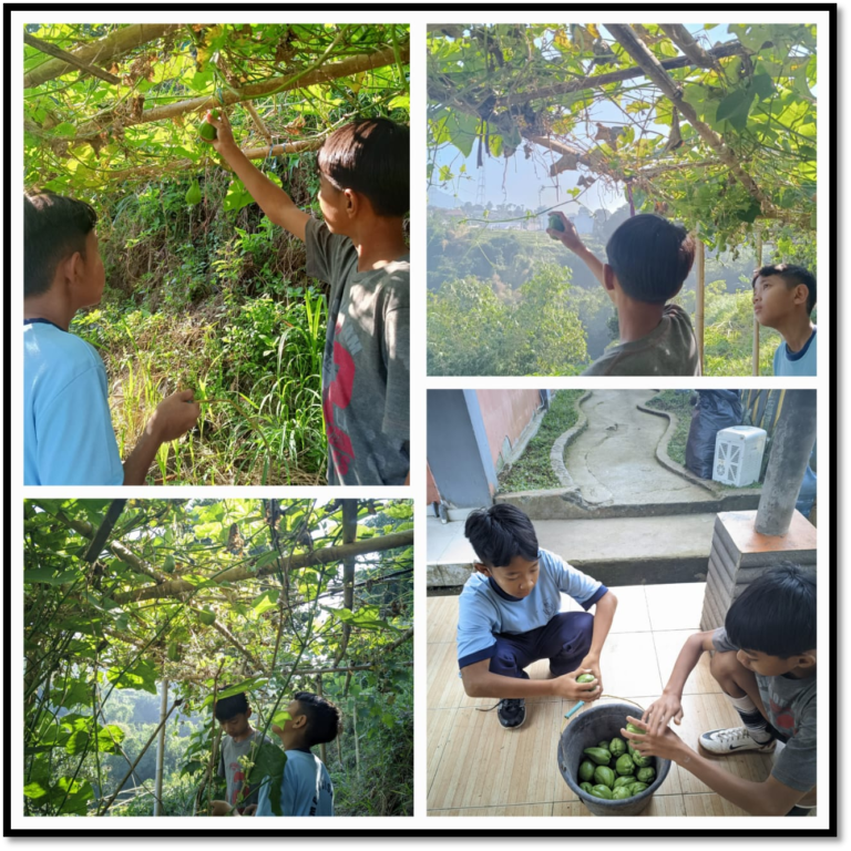 smpn3 cisarua