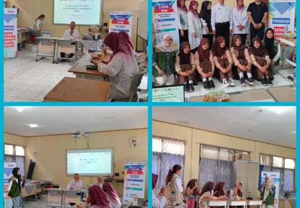 WhatsApp Image 2025-12-01 at 10.11.26