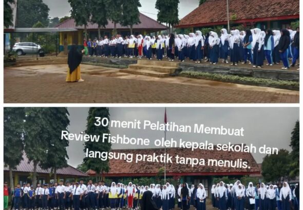 WhatsApp Image 2025-12-03 at 11.22.11