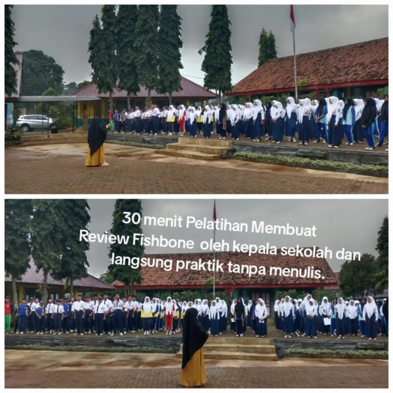 WhatsApp Image 2025-12-03 at 11.22.11